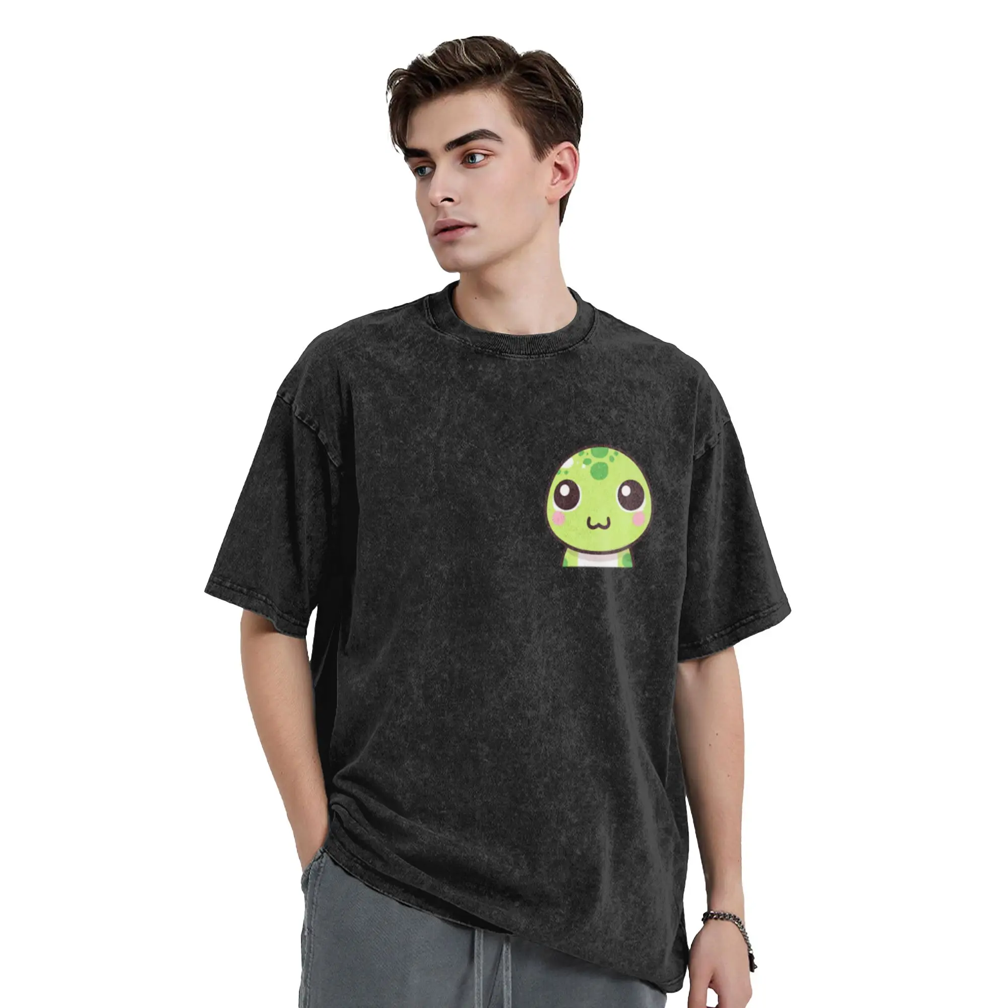 Lizard Leisure Classic Stylish A Washed T Shirt Men's Women's Oversized Cotton Tees Tops