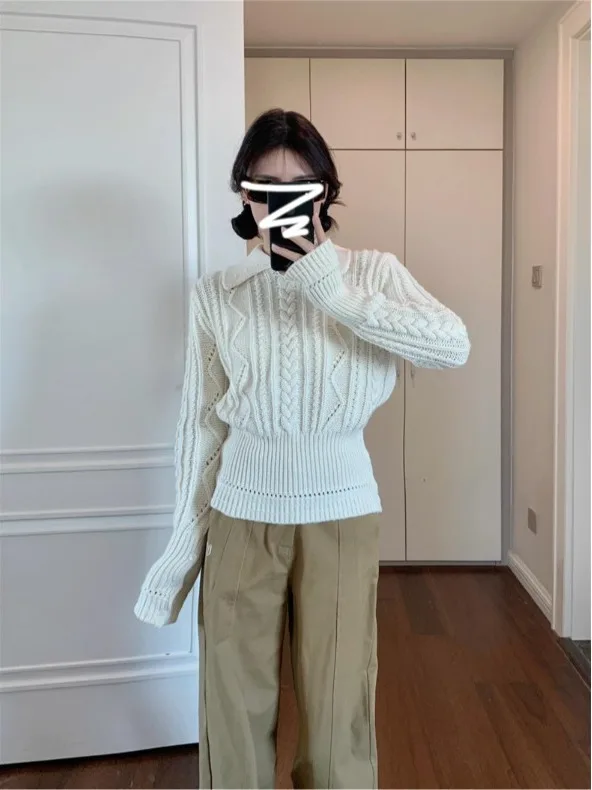 Pull tricoté coréen pour femmes, col torsadé, motif de fleurs, couche de Base, vêtements intérieurs, coupe cintrée, Unique, beau haut