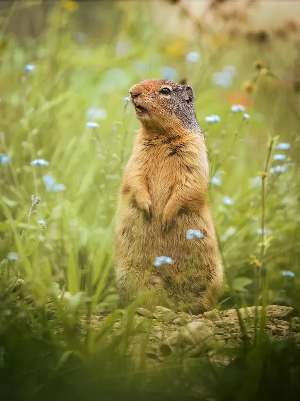 

Metal 2.2" Beadlock Wheel RAim Wheel Hub for 1/10 RC Crawler Car Axial SCX10 Wraith RR10 RBX10 Trxs TRX4 D90