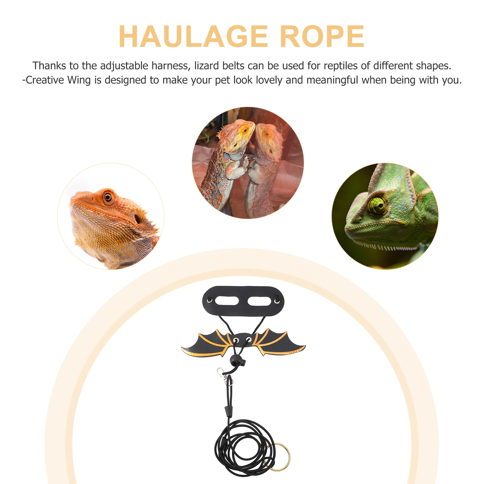 

5Pcs Lizard Adjustable Leash Harness Reptile Wing Style for Bearded Dragon Outdoor Use Reptile Harness