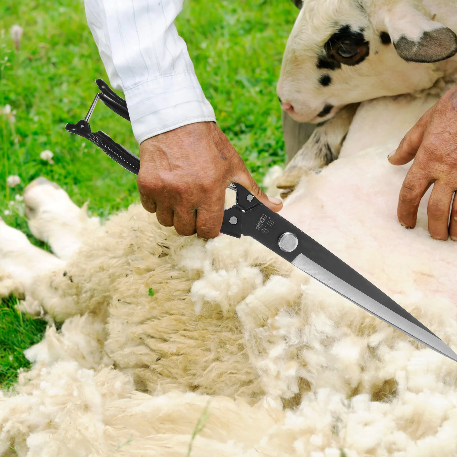 

1 set 1 Set Manual Sheep Shears Carbon Steel Durable Farm Animal Grooming Tool Ergonomic Handle Cow Alpaca Horse Wool Scissor