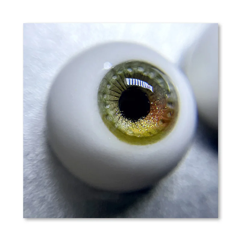 BJD doll eyes suitable for 1/3 1/4 1/6 size natural animal resin eye plaster eye three-dimensional pattern eye doll accessories