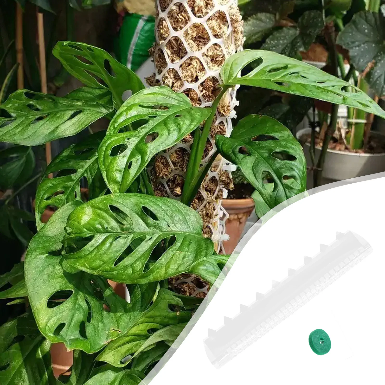 1Set Plastic Mosstokken voor Klimplanten Indoor Tuin Plant Ondersteunt Herbruikbare Mos Pole Kit Ondersteuning Stakes voor Monstera