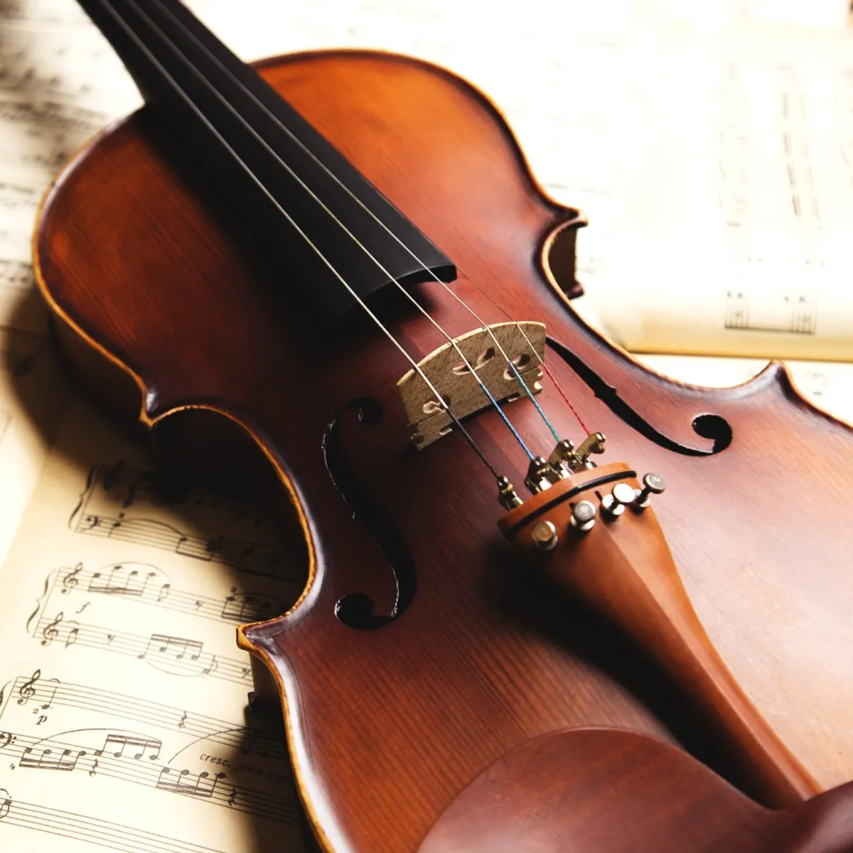 Complete Set E Violin Wire Strings Bright Clear Tone Stable Pitch Low Noise Violin Replacement Accessories