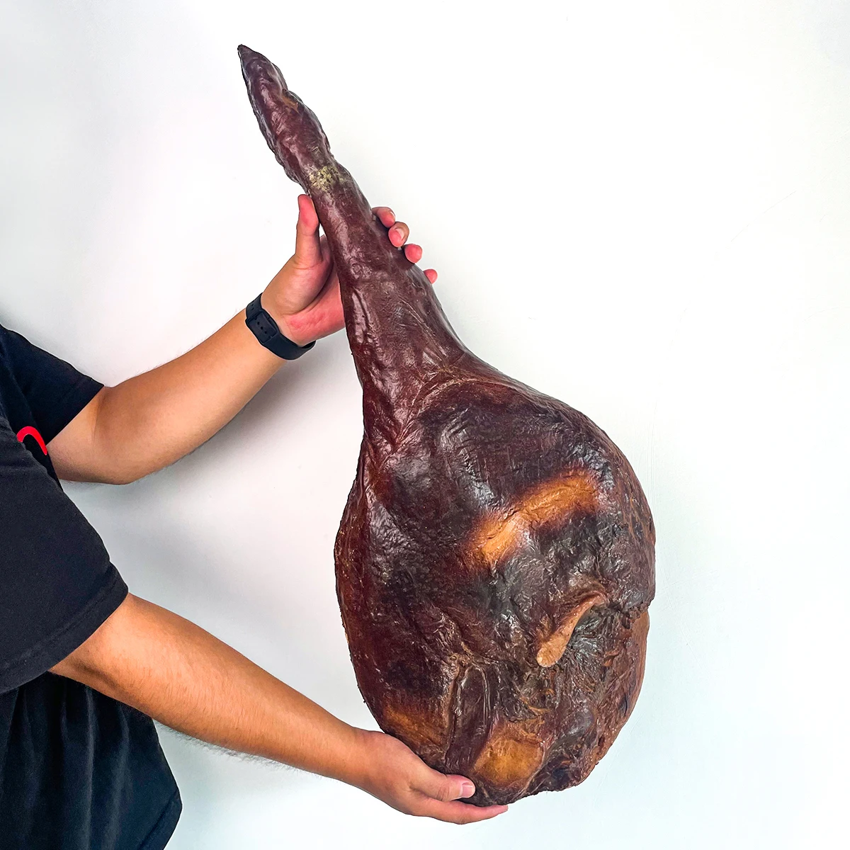 Simulierte chinesische Speck-Requisiten, künstlich marinierte Schweinerippchen, geröstete Ente, geröstete Gans, geröstete Hühnerdekorationen, Film – Detail 5