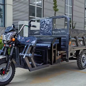 9 Haupttrikeverkäufe mit Motor - №9