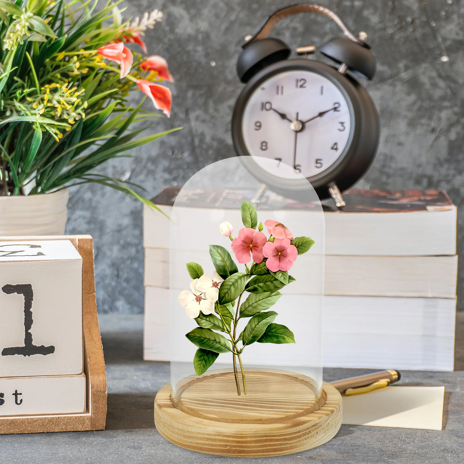 

Glass Cover Base 9x15cm Transparent Display Dome for Dried Flowers Decorations Wood Base Glass Cloche Storage Container