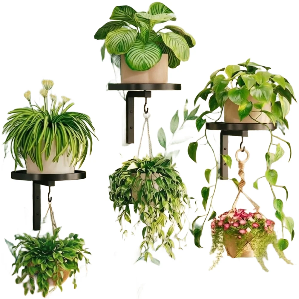 Wall-Mounted Bird Bath & Feeder 5