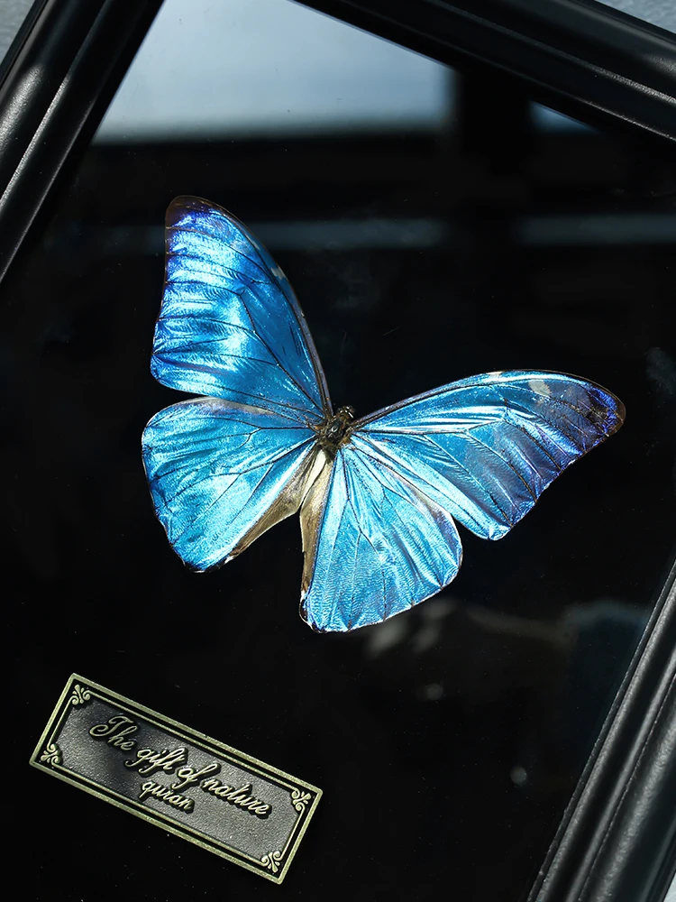 

Декоративная фоторамка Antonis Blue с изображением животного, современный простой дизайн, для украшения дома