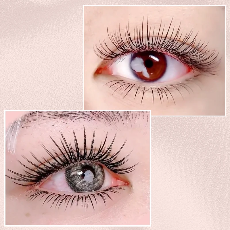 プレミアムフラットラッシュエクステ クラシック個別まつげエクステ エリプスフラットシェイプラッシュ ミックスラッシュトレイ