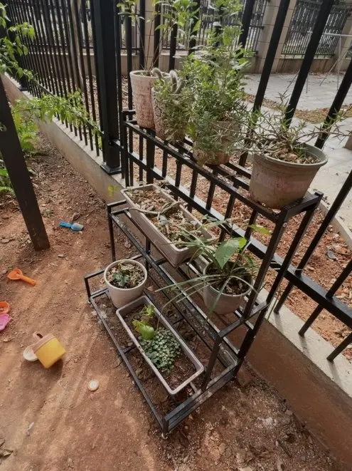 Tiered Display Plant Rack Shelf Universal Outdoor Metal Square Plant Rack Shelf Luxury Black Plantenrek Balcony Furniture photo review