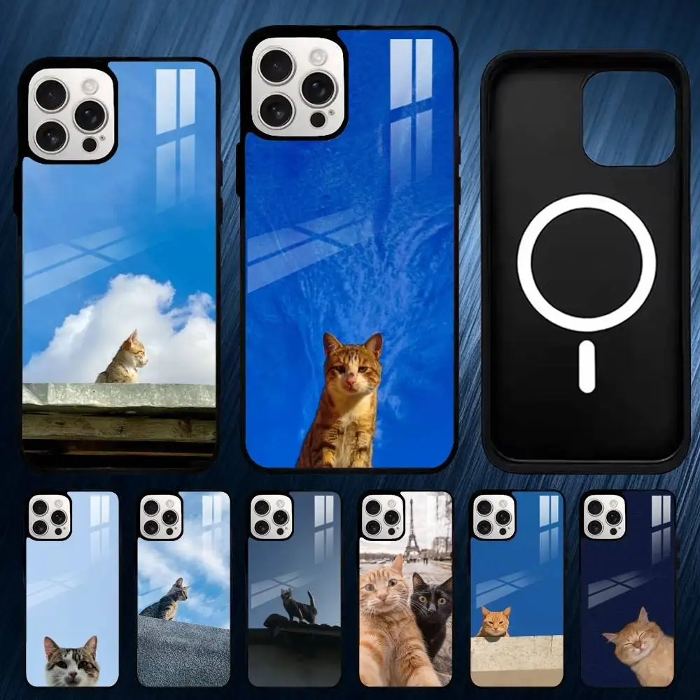 

Cute Cat Phone Case For iPhone 17,16,15,14,13,12,11,Plus,Pro,Max Magsafe Magnetic Wireless Charging