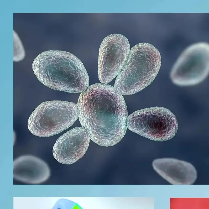 

Advanced HLKGO Nail Fungus Laser, 470nm Blue Light & 905nm Wavelength Combo for Professional Onychomycosis Treatment at Home