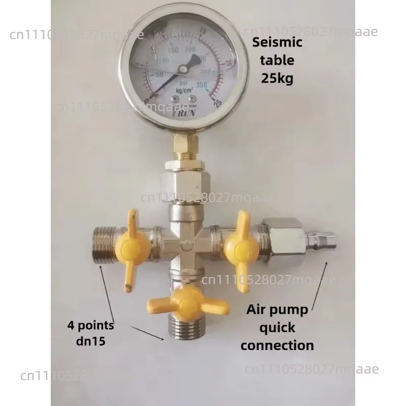 Four Way Pressure Test Valve, Tap Water, Geothermal and Underfloor Heating Pressure Gauge, Leak Detector with 4 Points