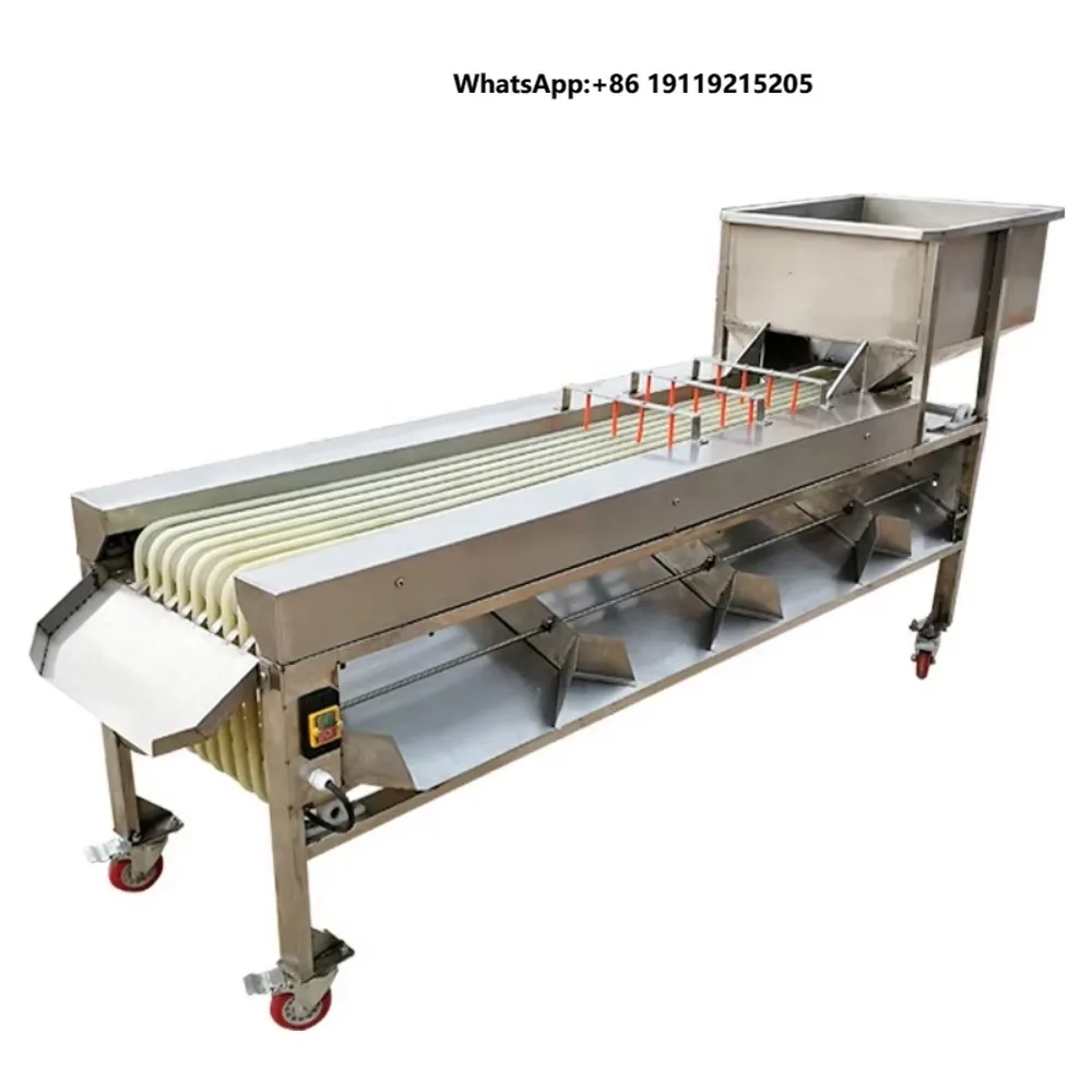 Fruit Grader Machine Fruit Grading Machine Equipment for Fig Fruit Packing House Operation