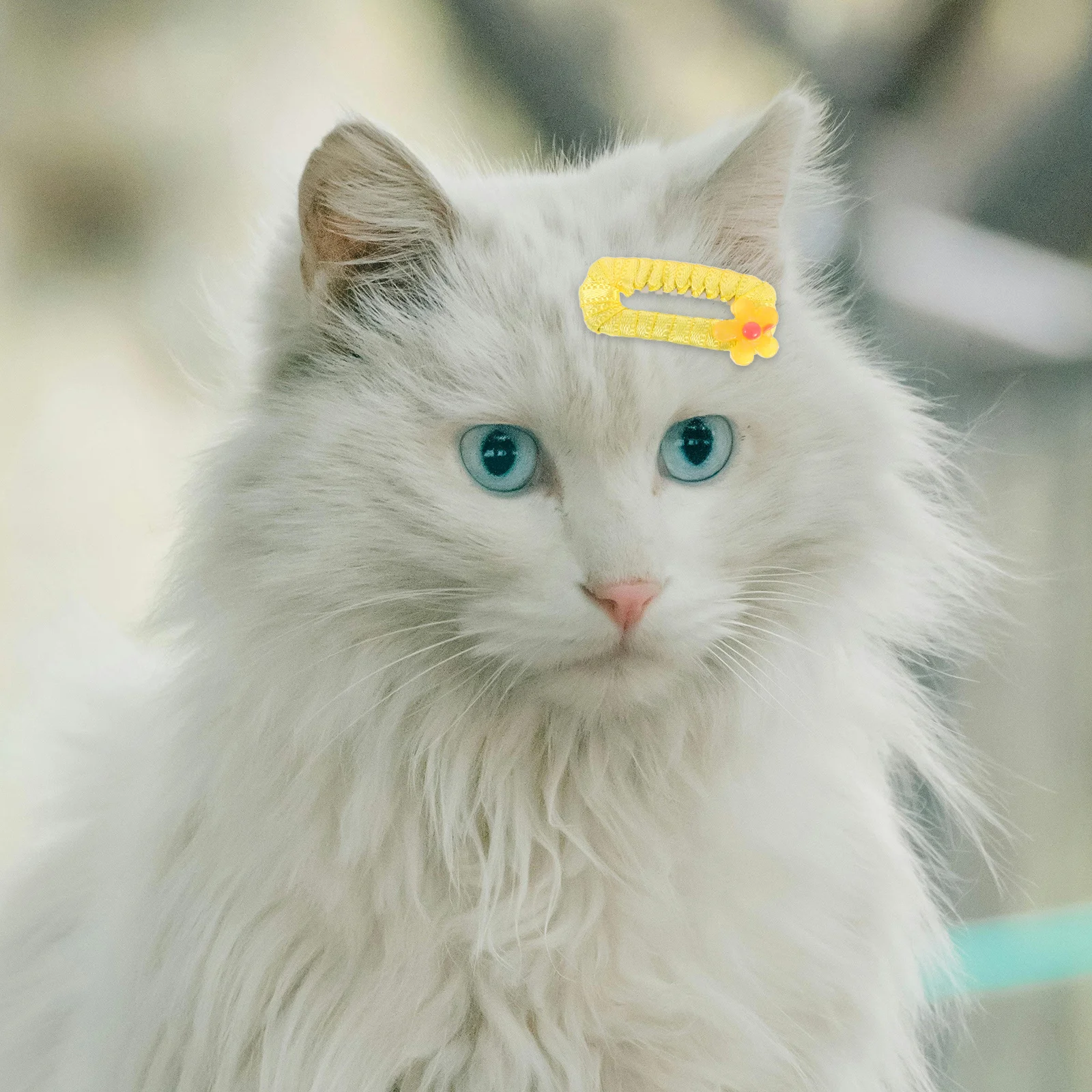 10 Stück Tierhaar-Accessoires, Hundehaar-Clips, niedliche Haarspangen, leicht, für Welpen, Kätzchen, kleiner Hund, Pflege-Styling-Clips