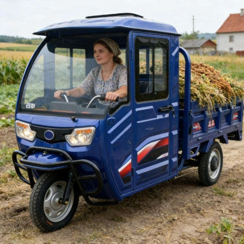 Electric Trike 3 Wheel Motorcycle Electric Cargo Tricycle Rural Agriculture Harvesting Ranch Livestock Feed Utility Cargo Wagon