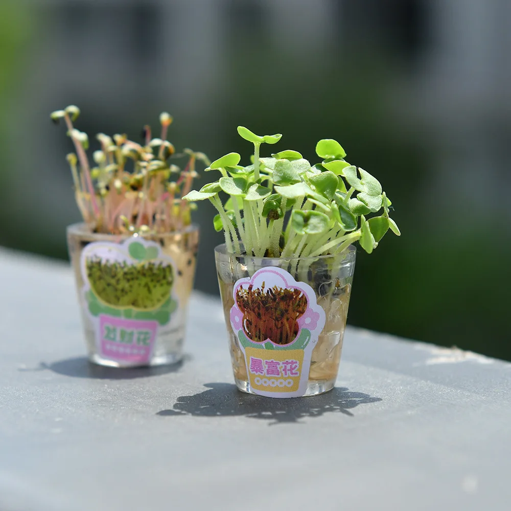 Creatieve Plantpen Zwart Unisex Pen DIY Mini Pot Plant Lange Gras Pen Desktop Ornamenten Kinderen Stress Briefpapier Pen