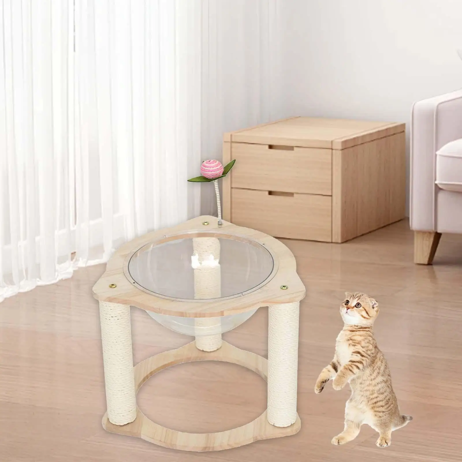 

Wood Capsule Cat Bed Stable Sleeping, Playing, and Lounging for Kitten Kitty