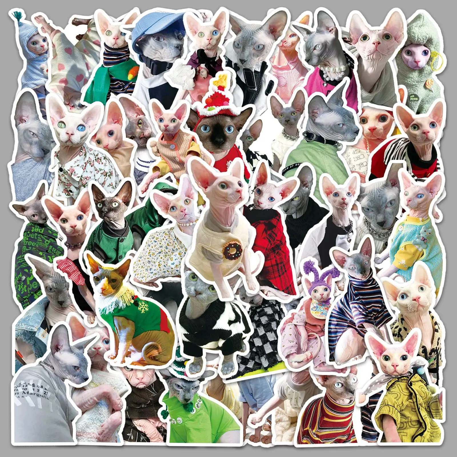 50PCS Sphynx Cat Stickers Cute Hairless Cat Funny Sphynx Cat in Clothes DIY Decorative Phone Case Waterproof Stickers Kids Toy