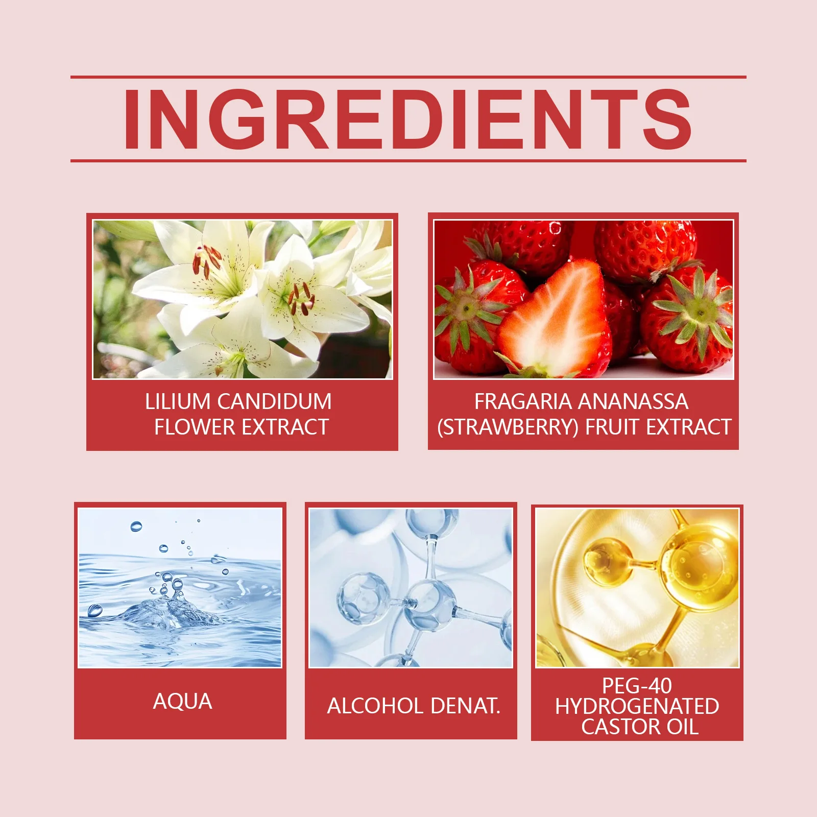 Roxelis Rose Lily Charm Profumo Fragranza rosa naturale Ingredienti delicati Fresco a lunga durata Elegante Eau De Parfum quotidiano