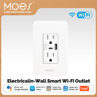 WiFi Smart Wall Socket Plug with Type-C and USB Dual Outlet Power Socket Compatible with Alexa Google Home APP Control
