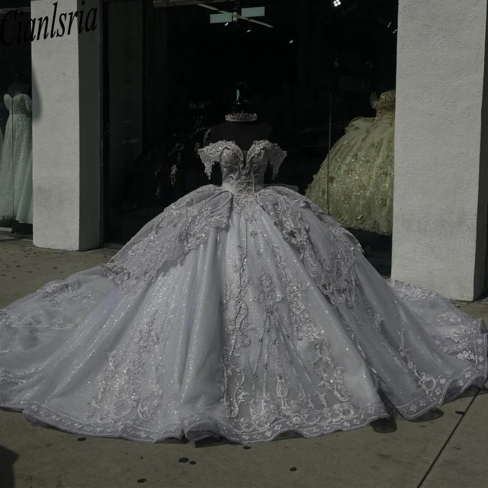 Glitter Gray Off-Shoulder Quinceanera Dresses 3D Flowers Appliques Vestidos De 15 Anos Birthday Party Prom Princess