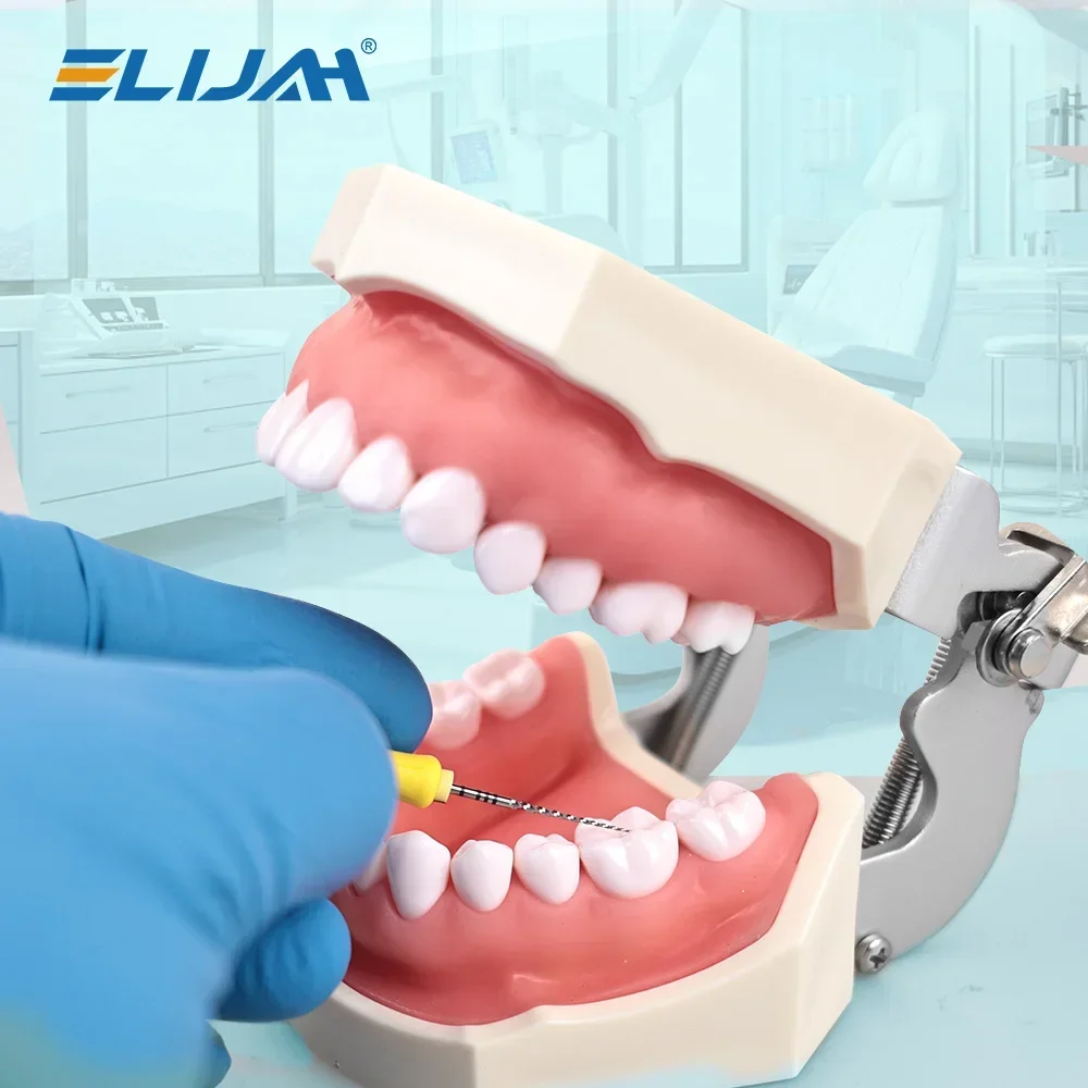 Elijah 6 pçs/caixa dental mão uso tratamento de canal raiz arquivos pro-cone 21mm/25mm/31mm arquivos super rotativos ferramentas de modelagem dentista