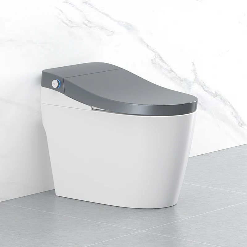 

BTO standard design aurora grey floor standing wc smart intelligent toilet with bidet self-cleaning function