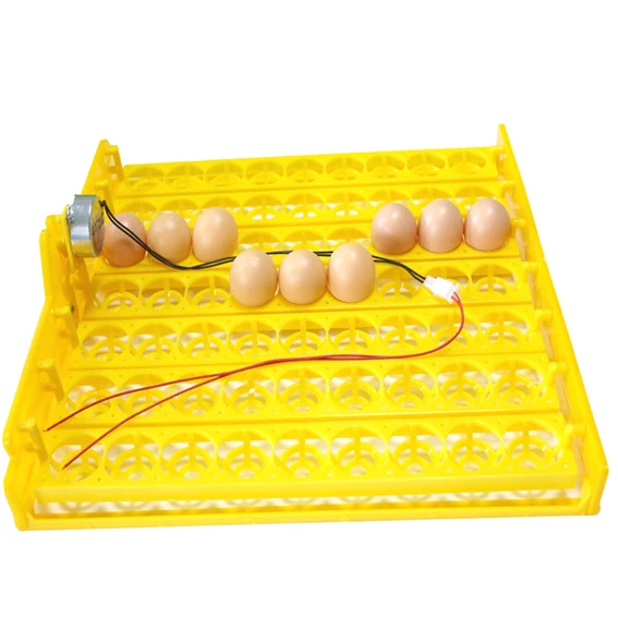 56-incubateurs-d'œufs-plateaux-tournants-incubateurs-de-volaille-poulet-canard-et-autres-incubateurs-de-volaille-tourner-automatiquement-les-œufs