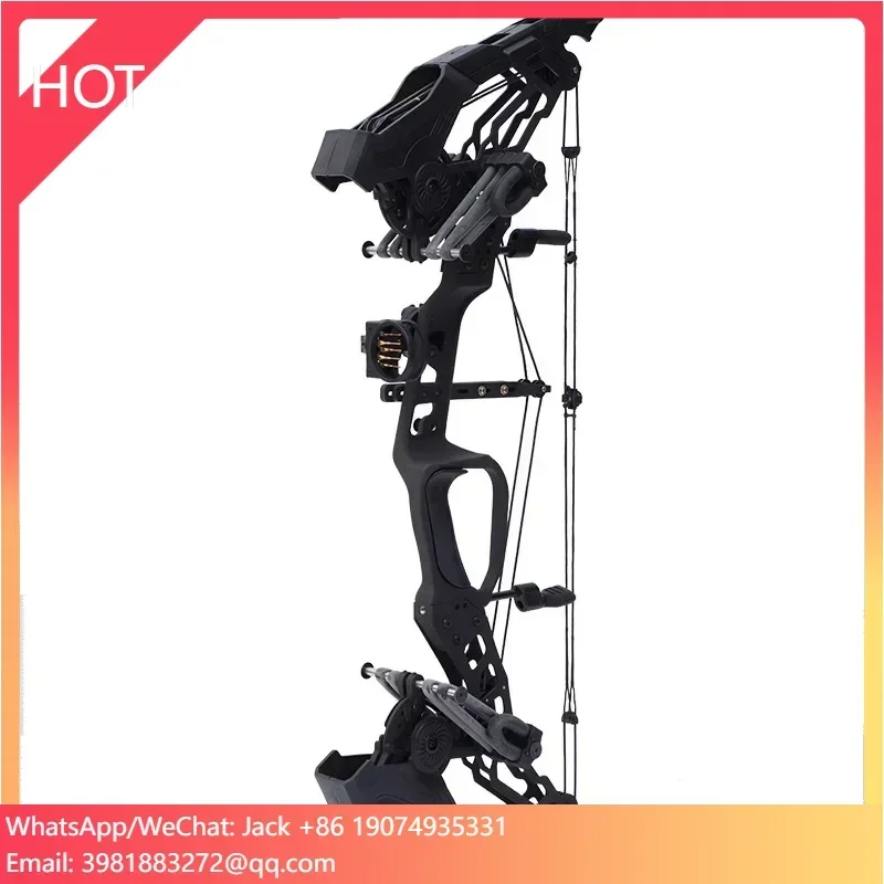

Alloy Version Archery Steel Ball Bow Dual Purpose Pulley Compound Bow for 2