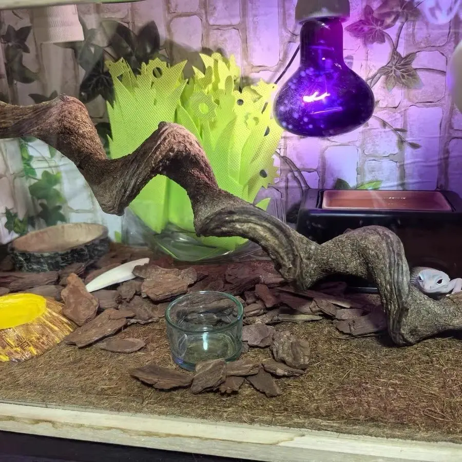 Natural Reptile Climbing Vine 2
