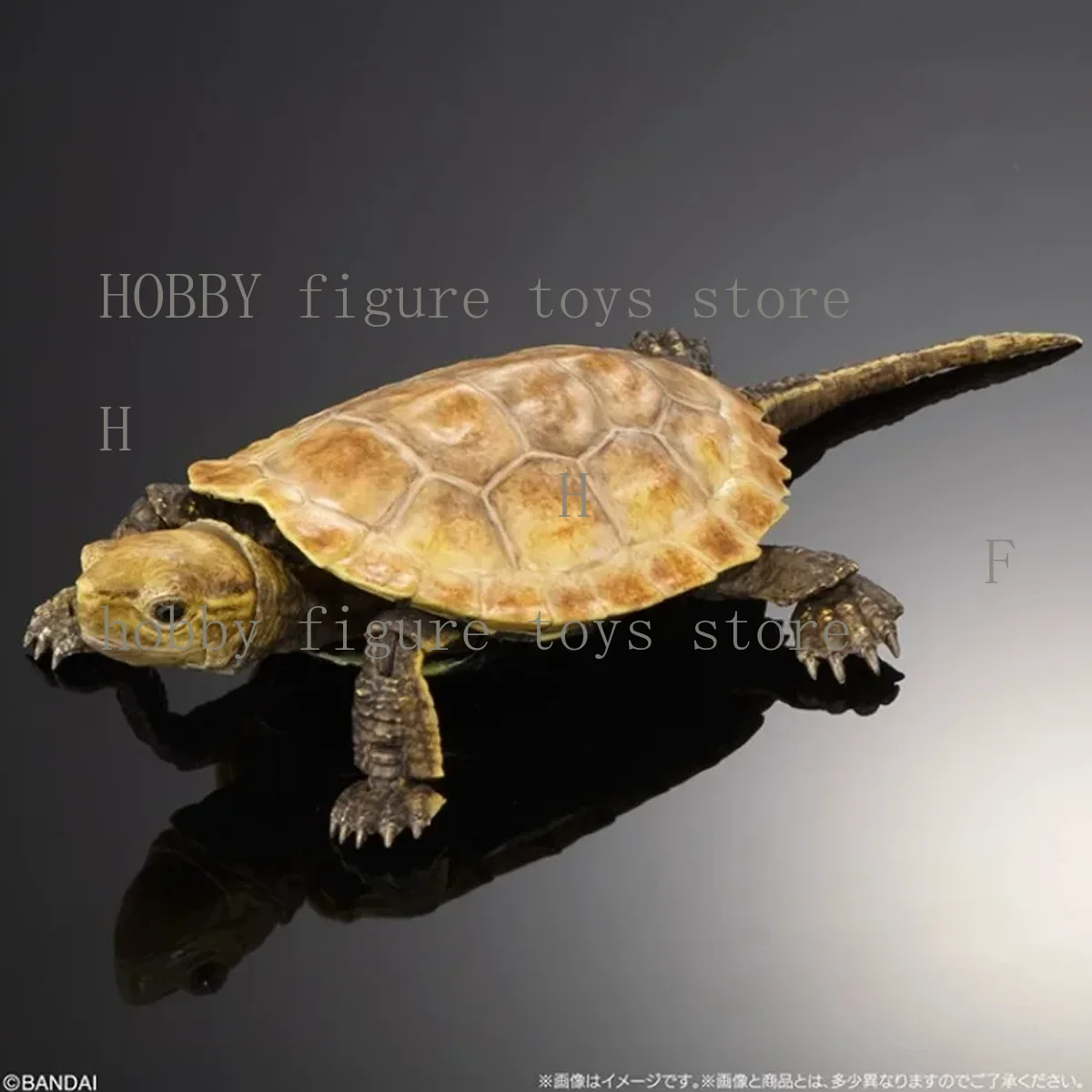 Bandai Original Gashapon Biological Atlas Anime Figur Turtle 02 Bewegliche Schildkröte Anime Actionfiguren für Hobby Kinder Modell Geschenke