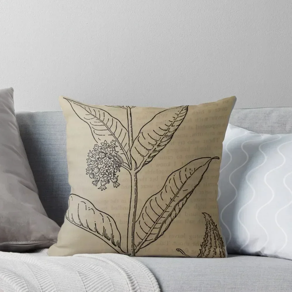 Vintage Picture of Milkweed Throw Pillow Pillow Cover Pillowcase Cushion Sofa Cover pillow