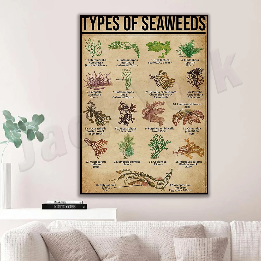 Póster de tipos de algas marinas, póster vintage de vida marina, póster impreso en lienzo de algas marinas para pared