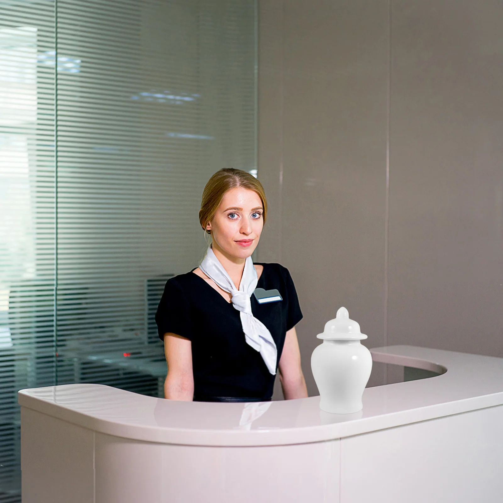 

White Ceramic Jar Elegant Porcelain Decorative Jar for Home Office Hotel Storage Kitchen Canister with Lid Small Ceramic