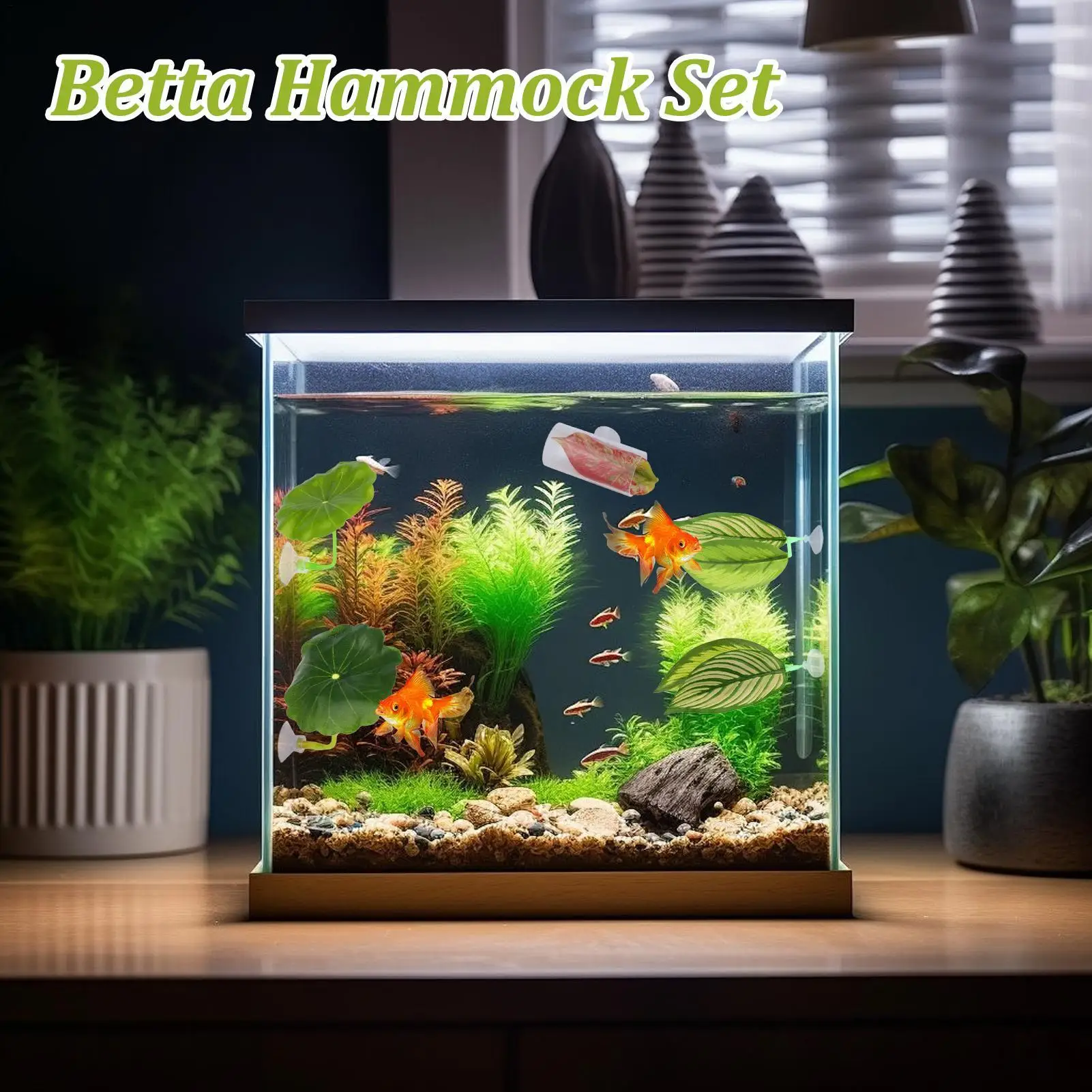 Hamaca de pescado Betta, 5 pie - Aquarium Fish Betta reseña y precio