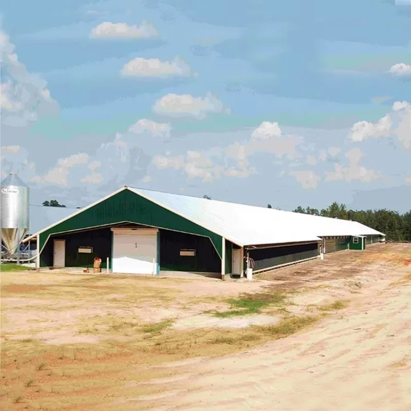 Steel Structure Low Cost Prefabricated Steel Structure Poultry Chicken Farm