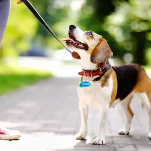 6 Büyük satış, yani kemik-no. 3