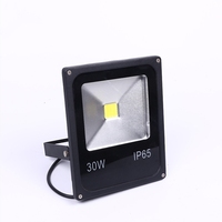 Waterproof RGB WW CW LED Flood Light 10w 20w 30w 50w 85~265V Projecteur Foco Led Floodlight Refletor Spotlight Outdoor Exterieur