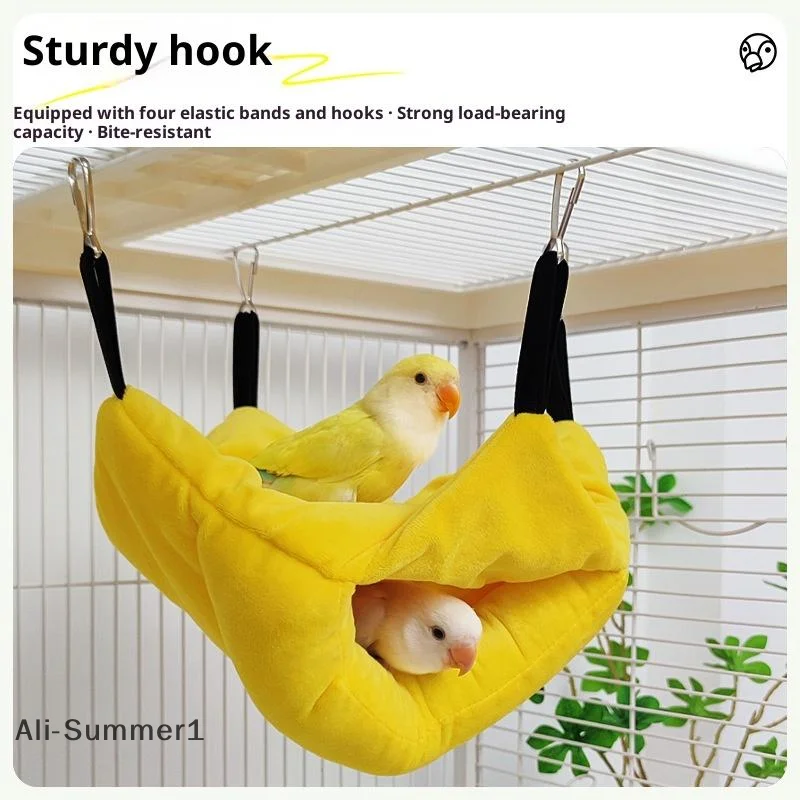 Pet Bird Parrot Han…