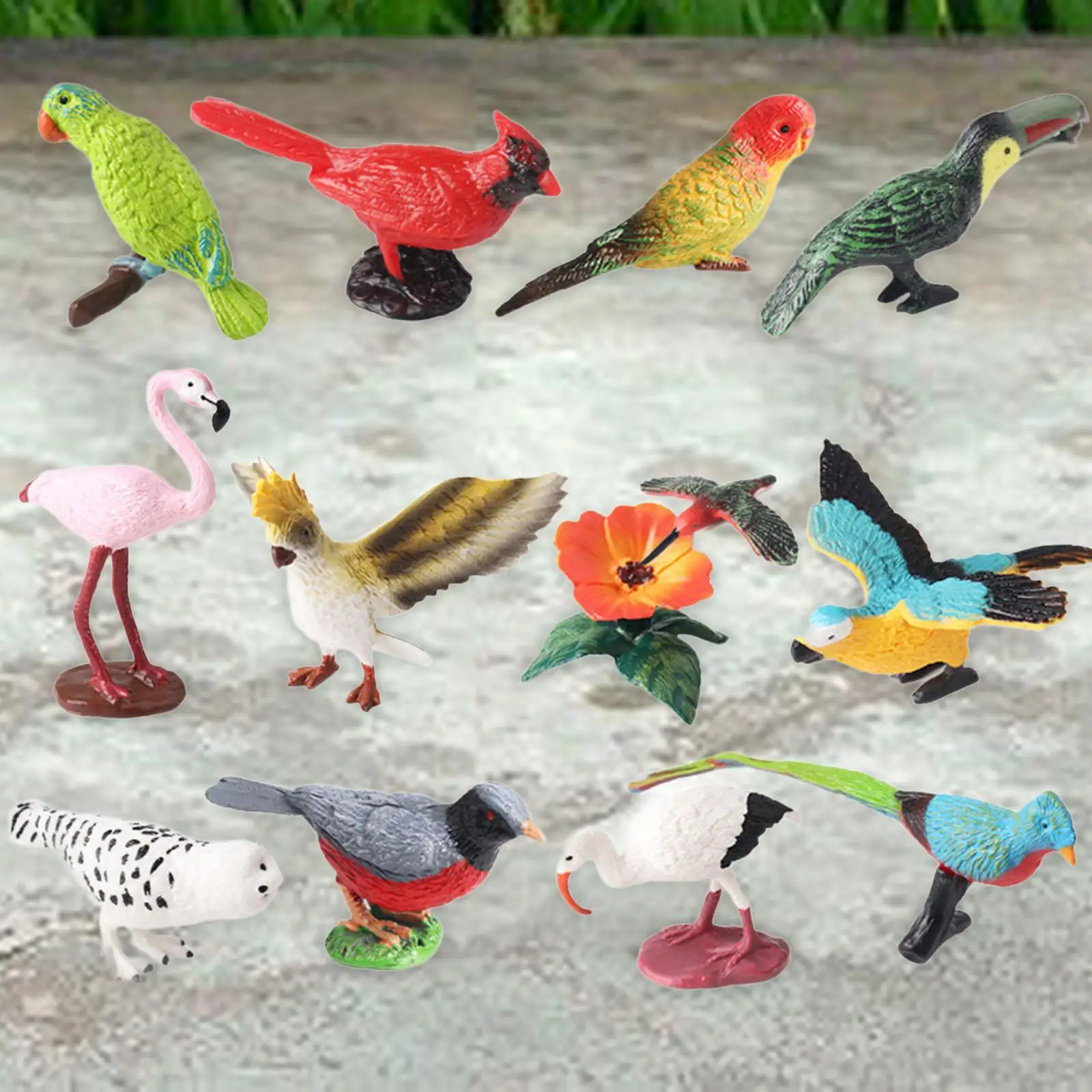 12 figurine di uccelli in miniatura modello animale realistico set di simulazione in miniatura
