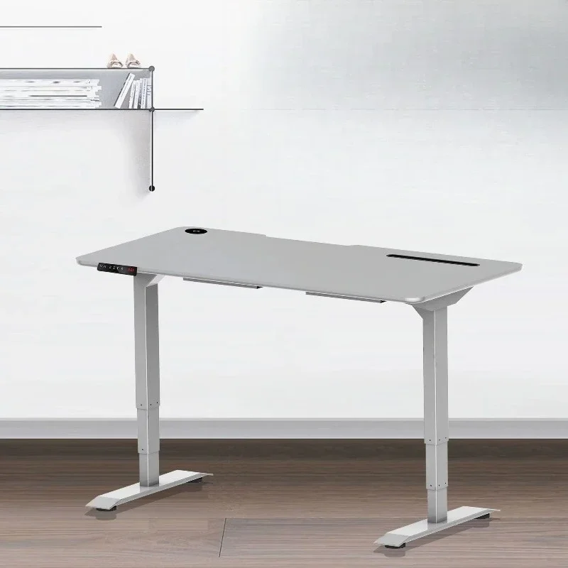Modern Dual Motor Lift Vertical Computer Desk High Memory Office Metal and Panel Wood Electric Desk