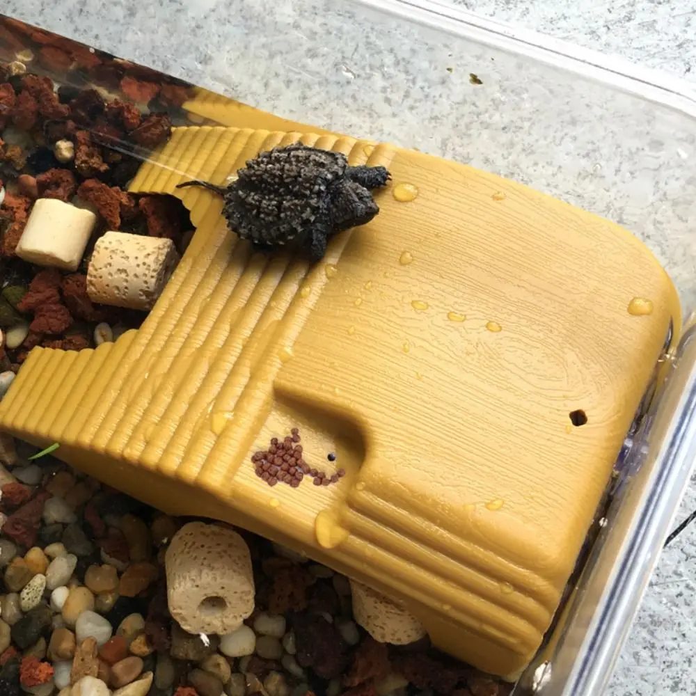 Adjustable Reptile Platform Plastic Double Track Turtle Climbing Platform with Suction Cups Turtle Basking Table Lizards
