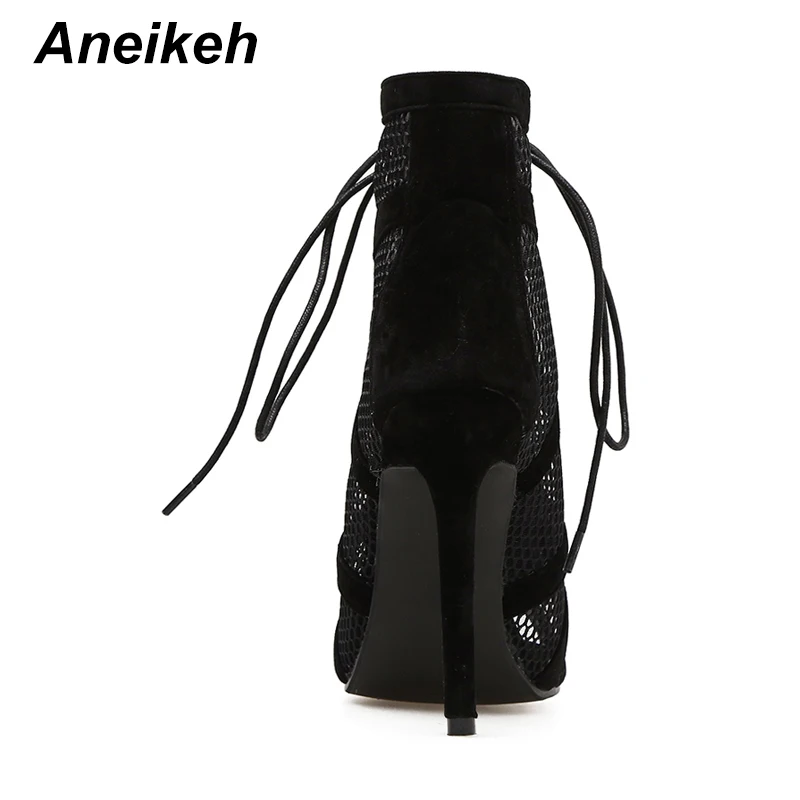 Aneikeh 2024 Fashion Basic Dancing Sandals Sexy Hollow Out Mesh Lace-Up Cross-tied ANKLE BootsWomen High Heels Pumps Party Shoes