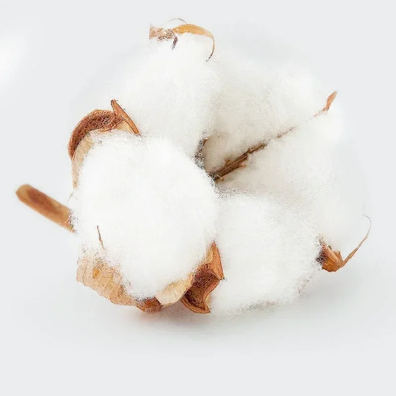 2025 صيف جديد الرجال 100% القطن قصير الأكمام إلكتروني الطباعة تصميم عادية تنفس أعلى الرياضة في الهواء الطلق اللياقة البدنية تي شيرت