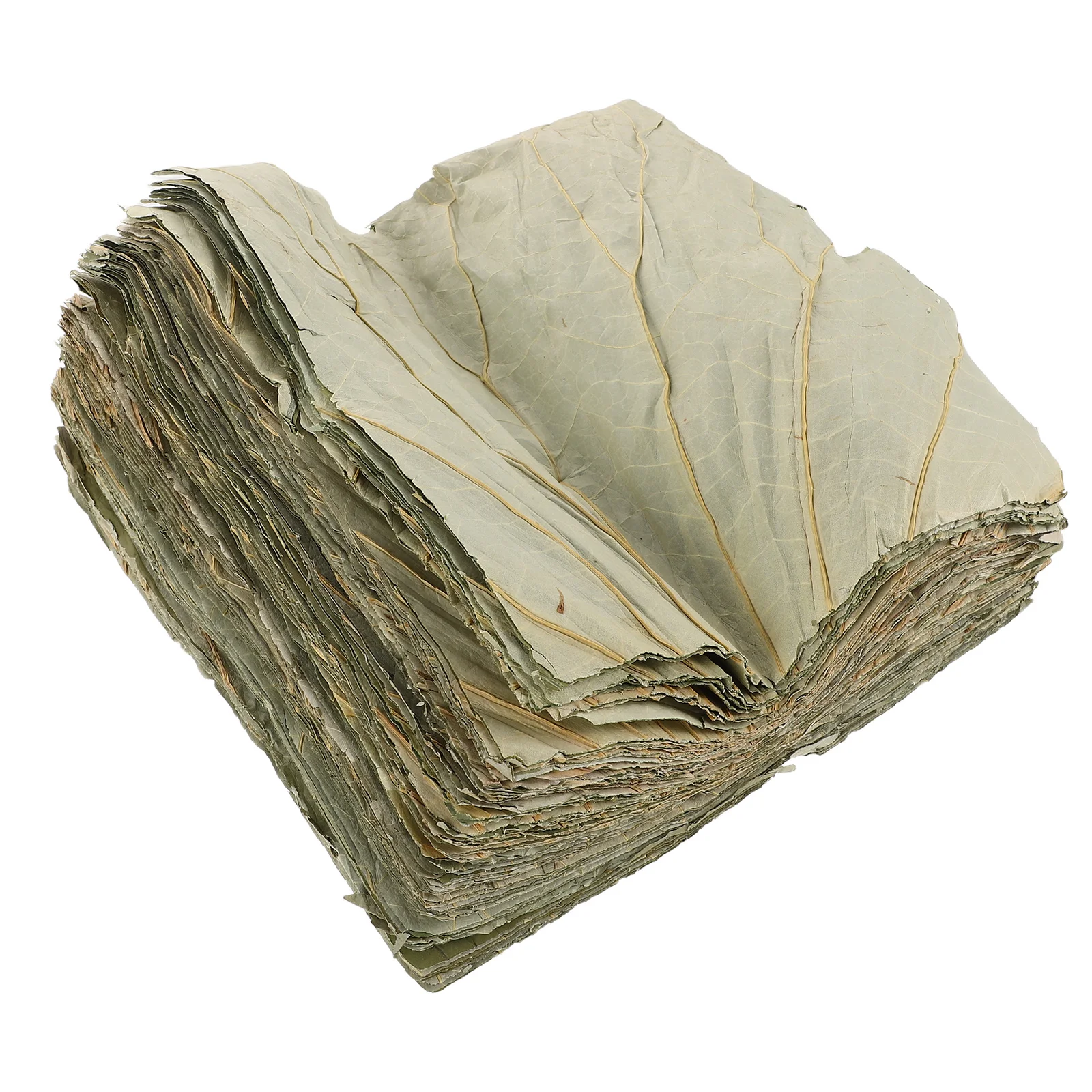 

100Pcs Square Dried Lotus Leaf 20Cm Natural Wrap for Sticky Rice Sushi Dim Sum Steaming Kitchen Food Presentation