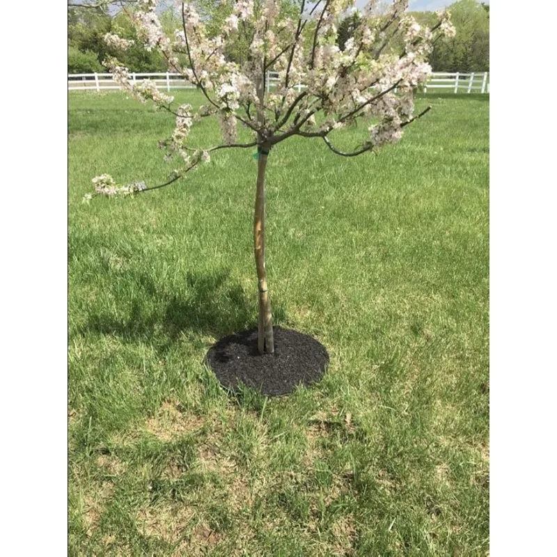 Tree Mulch Ring Weed Preventer - Recycled Heavy Duty Rubber - Mower Safe,No landscape staples needed,Natural look