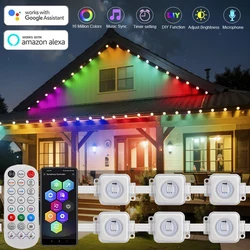 Highlight Outdoor Eaves LED light kit 16703IC(WS2812B) 30 Pixels Addressable Led string Works With Alexa Google Home Assistant