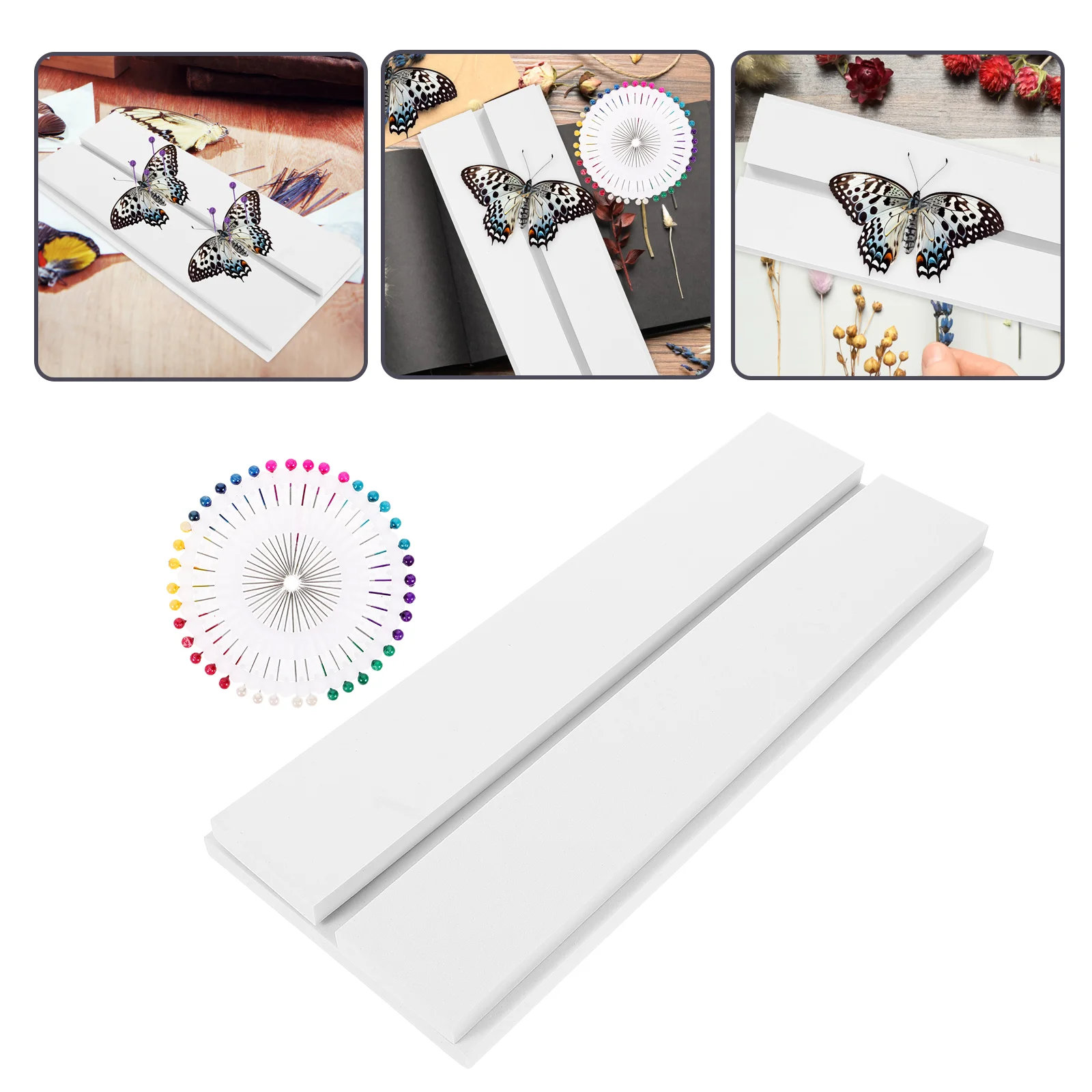 Insect Needle Specimen Positioning Table Adjustable Pinning Board Butterfly Spreading Display Case Kit Entomology